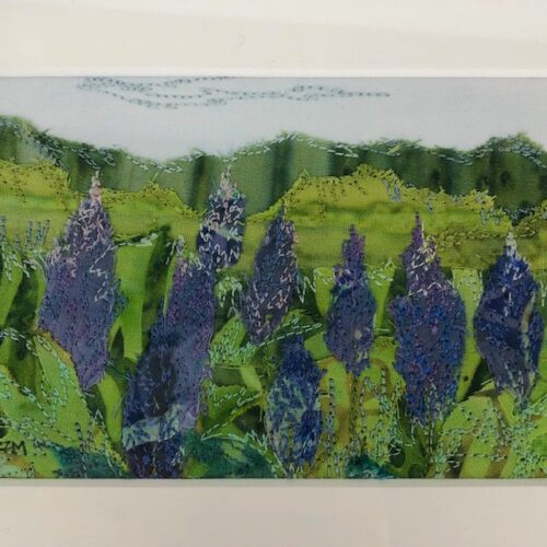 Lupine Field - Image 2