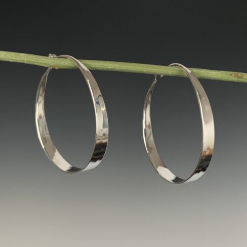Alternative view of Front Hoops