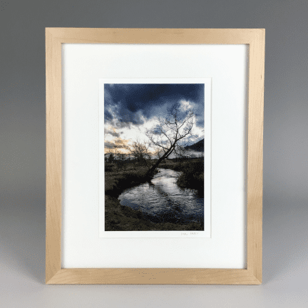 "Trout Brook, Leaning Tree" Framed Photograph