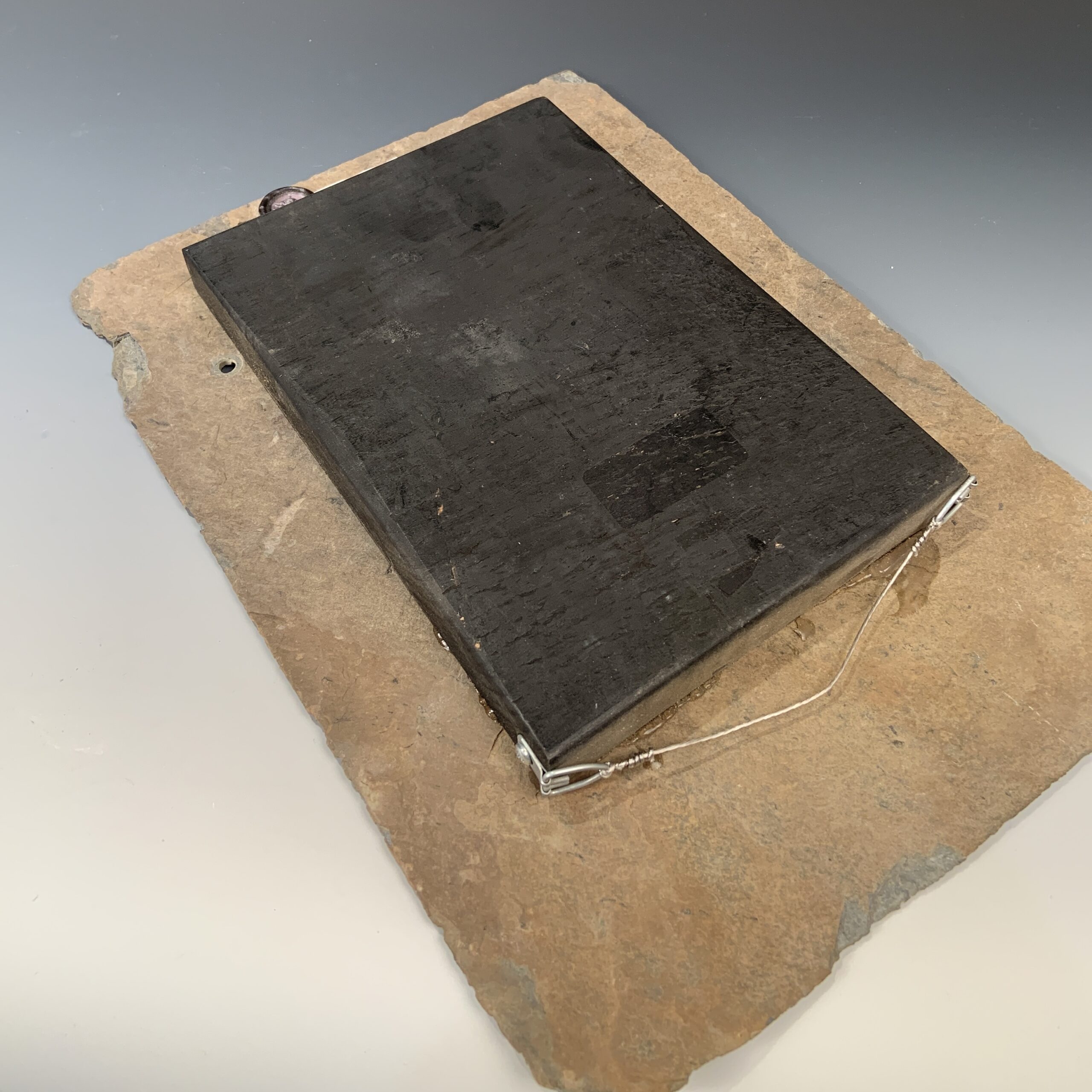 Bird on a Wire - Image 3