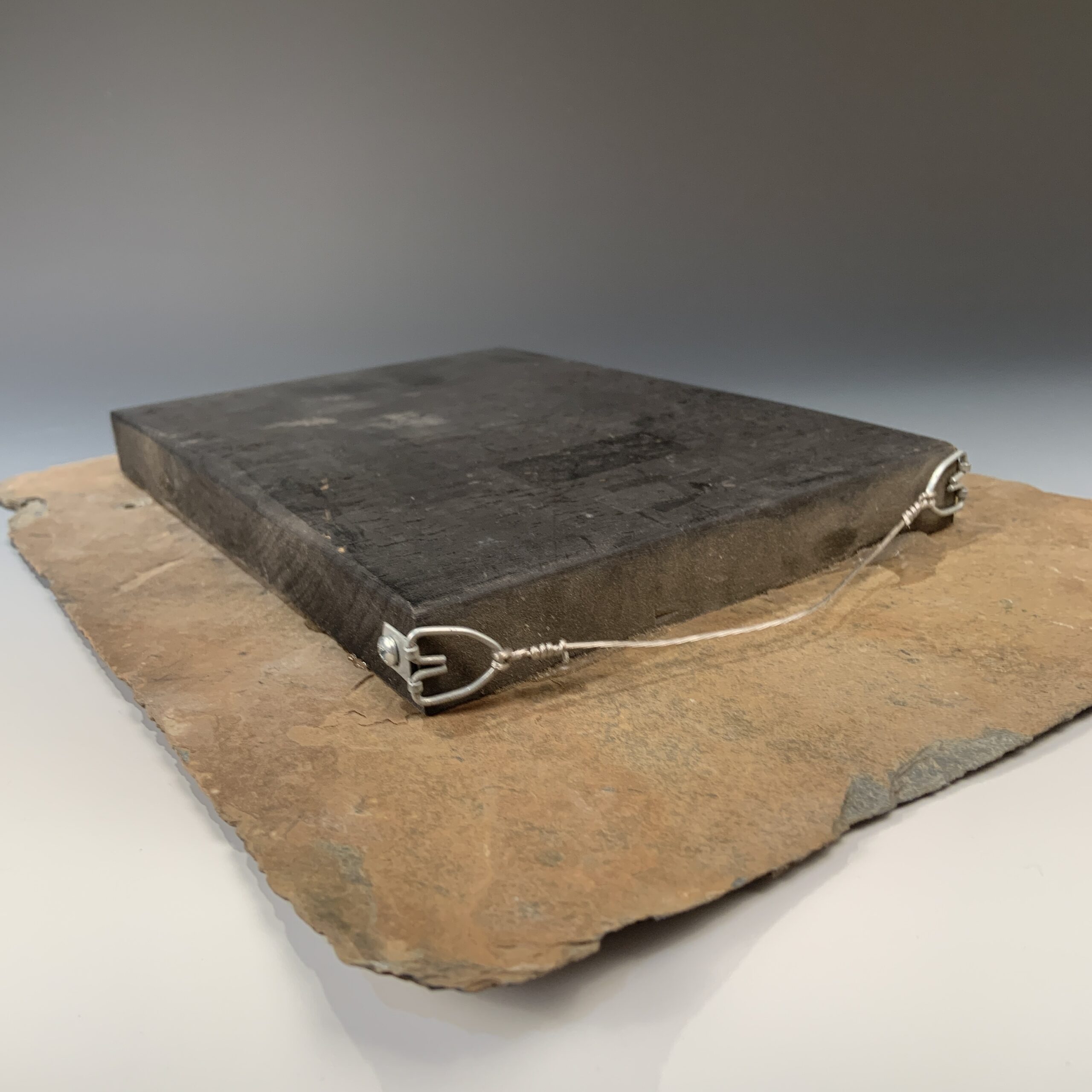 Bird on a Wire - Image 2