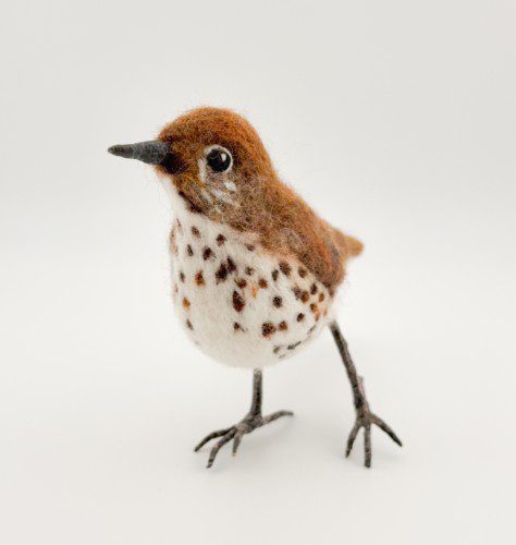 Needle Felted Wood Thrush