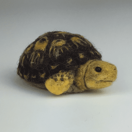 Felted Shy Box Turtle