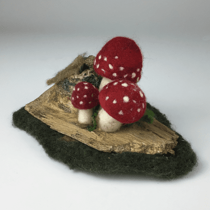 Alternative view of Felted Fungi on Log