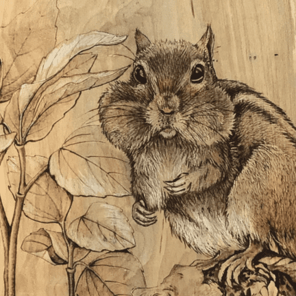 Alternative view of Chipmunk Pyrography