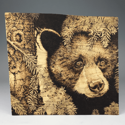 Bear Pyrography