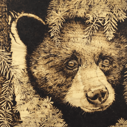 Alternative view of Bear Pyrography