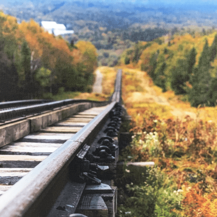 Alternative view of "Golden Leaves and Iron Tracks" Framed Photograph