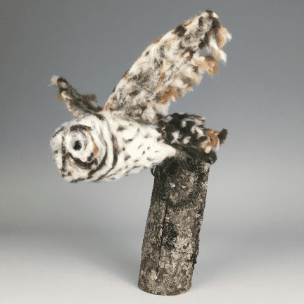 Alternative view of Fiber Barred Owl