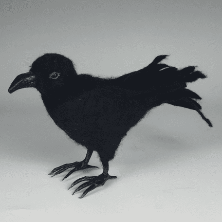 Alternative view of Fiber Raven