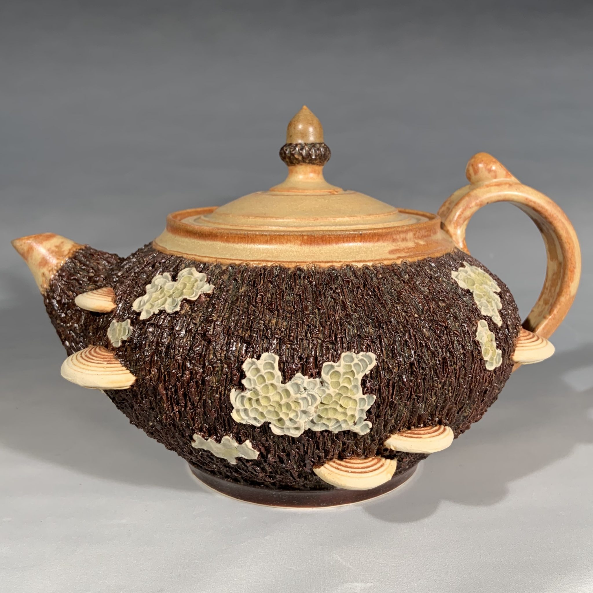 Mushroom and Lichen Teapot League of NH Craftsmen
