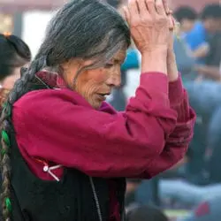 1247-Elbroch-Lawrence-3-19