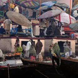 1247-Elbroch-Lawrence-4-19