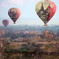 1247-Elbroch-Lawrence-5-19