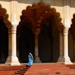 1247-Elbroch-Lawrence-7-18