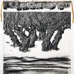 1624-Elbroch-Victoria-8-19