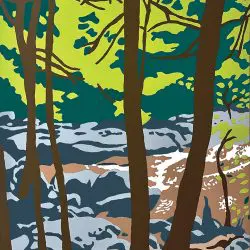 Mitchell_trail-to-dianas-bath-mitchell