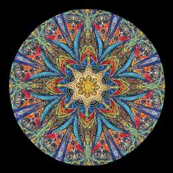 8_Burton-Carrie-VibrantStarfish