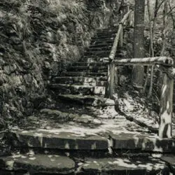 Steps_To_Glen_Ellis (1)