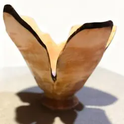 Wheeler, Stephen Image_04