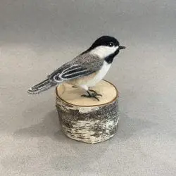 4_mortensen_libby_chickadee_2021