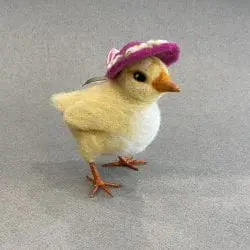 8_mortensen_libby_chickwithhat_2021