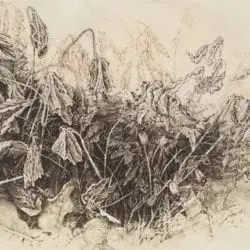 ACF18-Eldridge-J.Ann-3-20