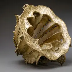 ACF18-Fichter-Lulu-5-17