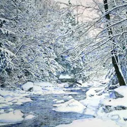 ACF18-Peck-Bruce-2-19