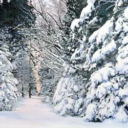 ACF18-Peck-Bruce-4-19