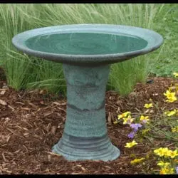 ACF18-Schneider-Jim-2-17