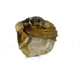 Al Jaeger Hopital Cafeteria Segmented Platter 6