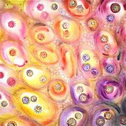 Balshaw-Jane-Beauty-in-all-Things