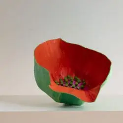 Balshaw-Jane-Botanica-Vessel-covid-orange-tilt