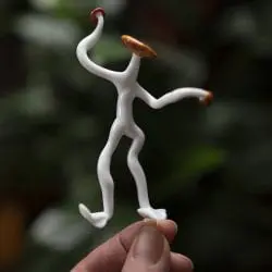 Brown-Jocelyn-mushroom-man