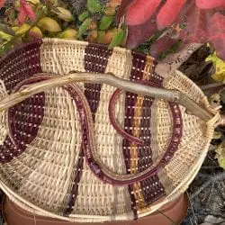 Embellished-Tray-Goldberg-Lynn