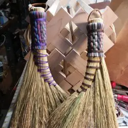 Fancy-Turkey-Wing_antonuk