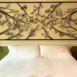 Hayden-Steven-under-the-oaks