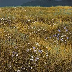 Hays-William-Autumn-Field