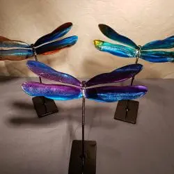 Krzewinski-Kathleen-Young-Larry-dragonfly