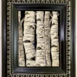 Meader-Luanne-birches