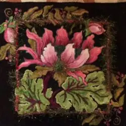 Murphy-Carol-flower1