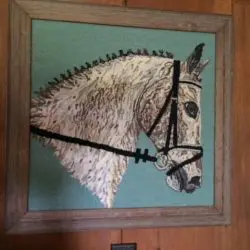 Murphy-Carol-horse
