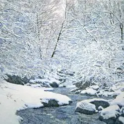 Peck-Bruce-cold-brook