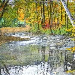 Peck-Bruce-quiet-brook