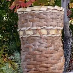 Poplar_kudzu-basket-Goldberg-Lynn