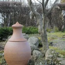 Procter-Stephen-Hayward-Vase-in-early-spring-copy