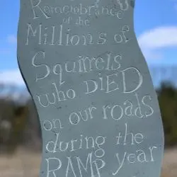 Updike-Michael-Squirrels-Headstone