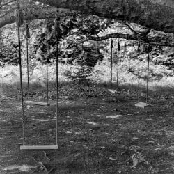 Van Loon-Carol-The-Fells-Newbury-NH-1457