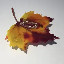 Verne Glass 1